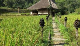 Start your visa-prepared journey with Laos’s serene glow